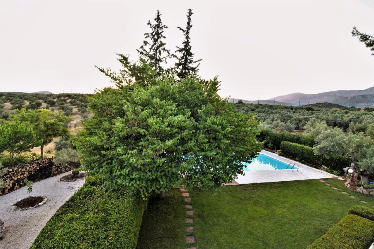 Villa Korina Metochi  Kültér fotó