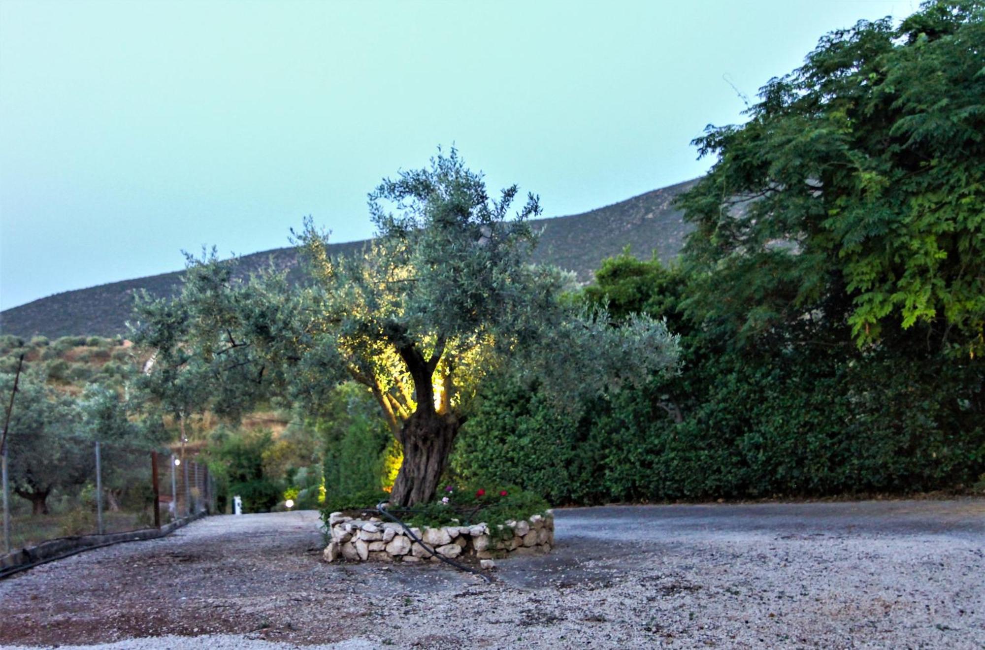 Villa Korina Metochi  Kültér fotó