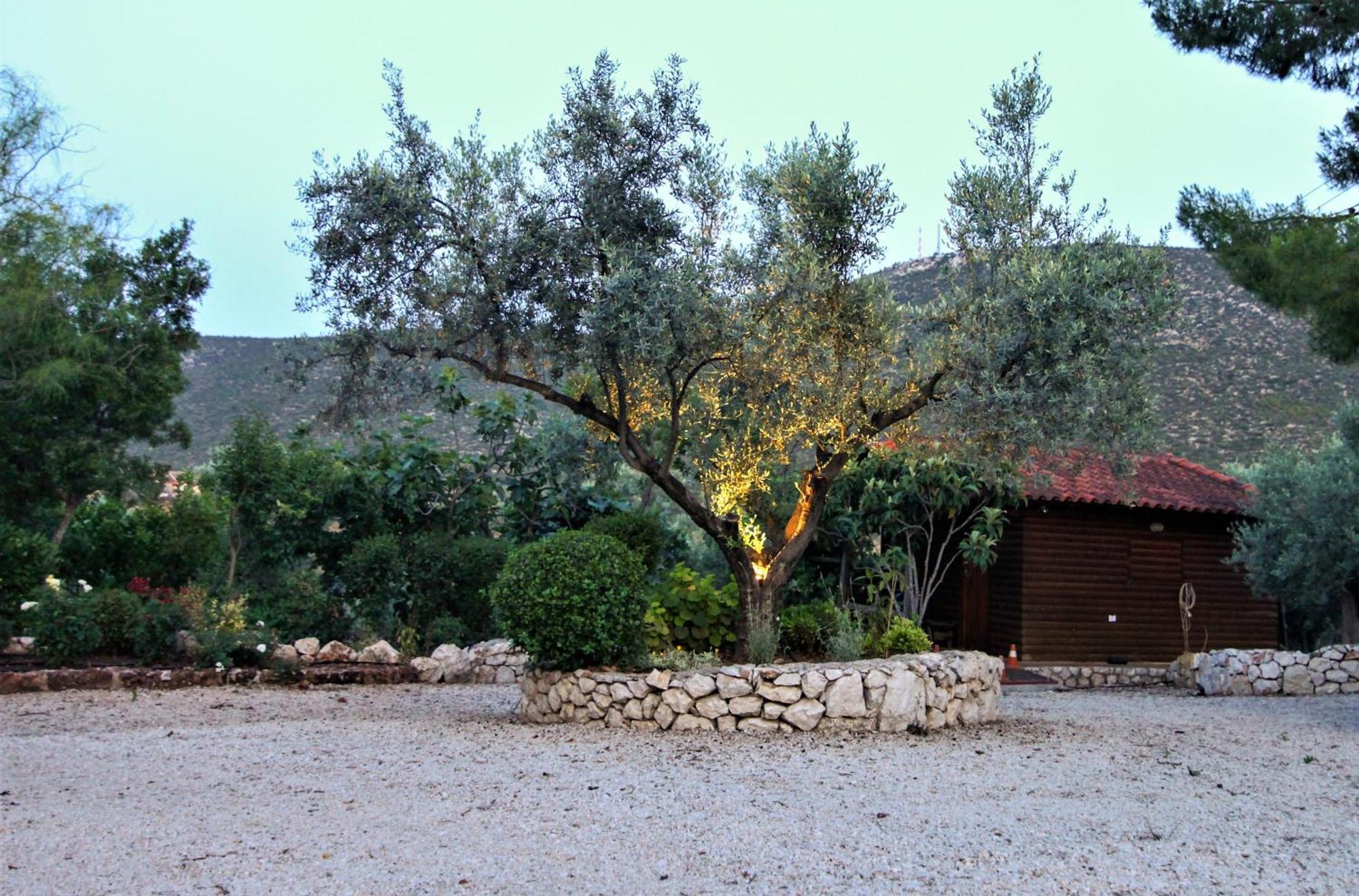 Villa Korina Metochi  Kültér fotó