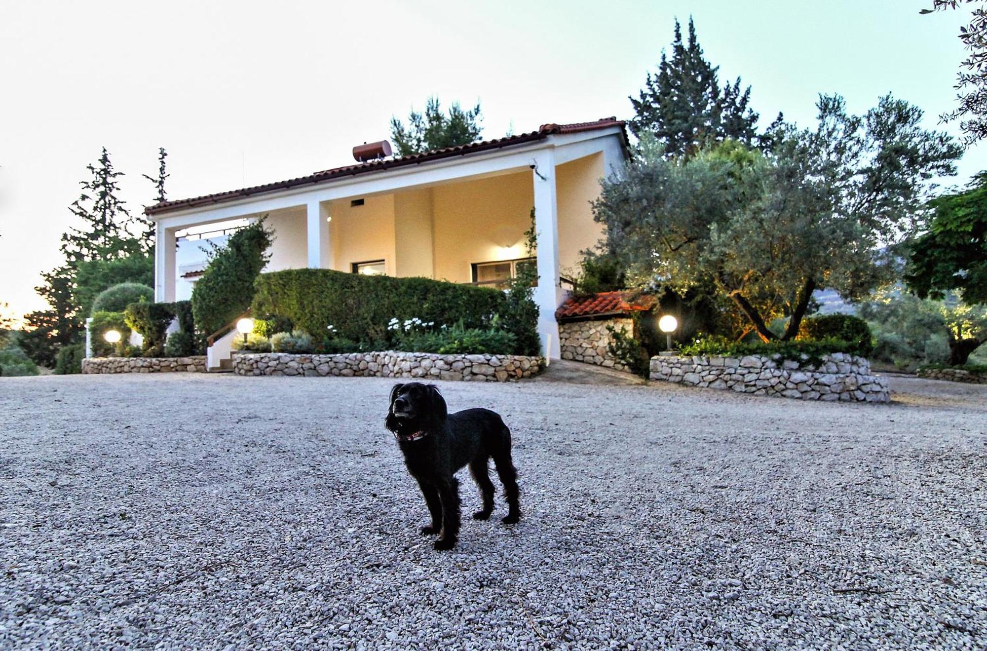 Villa Korina Metochi  Kültér fotó